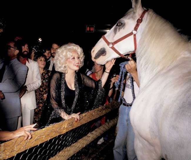 Dolly Parton white horse Studio 54
