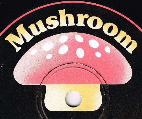фото Mushroom
