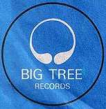 фото Big Tree Records